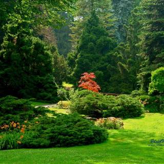 Gardens wallpaper