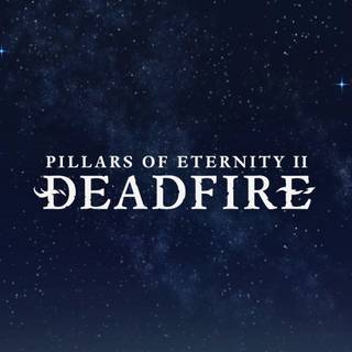 Pillars of Eternity 2 Deadfire wallpaper