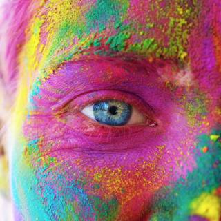 Festival of colors wallpaper