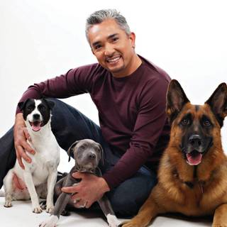 Cesar Millan wallpaper
