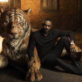 Jungle Book wallpaper