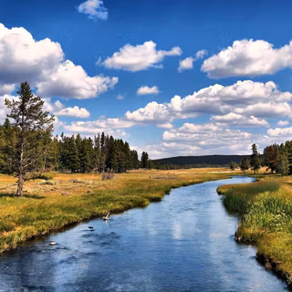 Along the river wallpaper