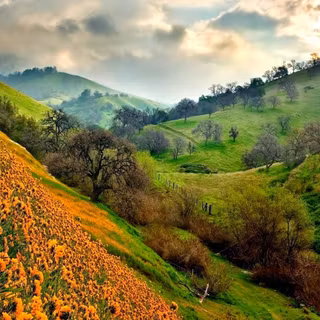 Monotheism wallpaper