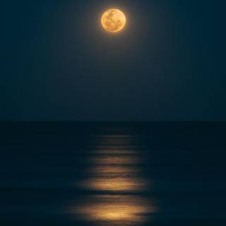 Girl and moon wallpaper