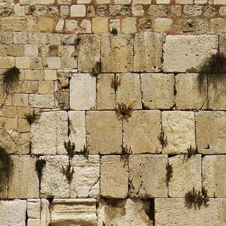Wailing Wall wallpaper