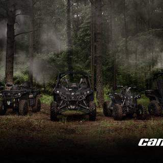 Can Am wallpaper