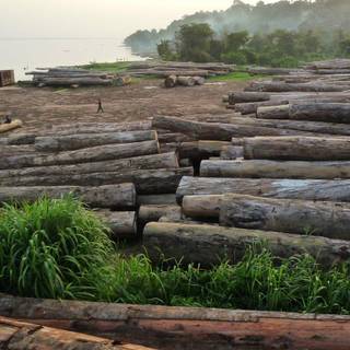 Democratic Republic of the Congo wallpaper