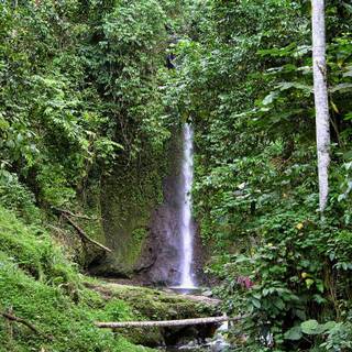 São Tomé and Príncipe wallpaper