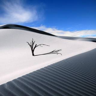 Sossusvlei wallpaper