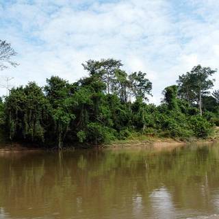 Taman Negara wallpaper