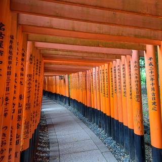 Fushimi Inari Taisha wallpaper
