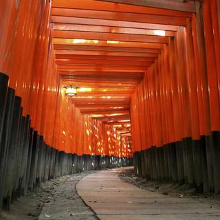 Fushimi Inari Taisha wallpaper