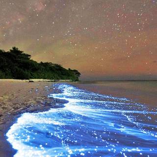 Sea of Stars wallpaper