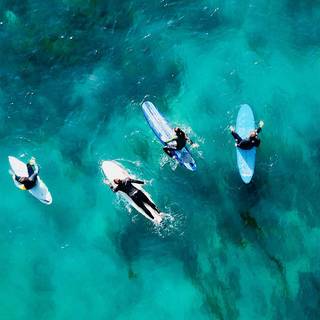 Bondi Beach wallpaper