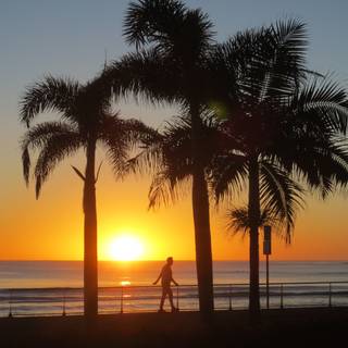 Sunshine Coast wallpaper