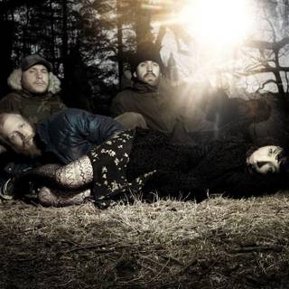 Little Dragon wallpaper