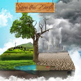 Environment UHD wallpaper