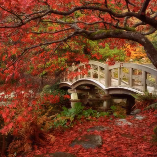 Düsseldorf wallpaper