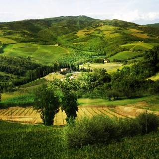 Tuscan countryside wallpaper