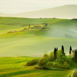 Tuscan countryside wallpaper