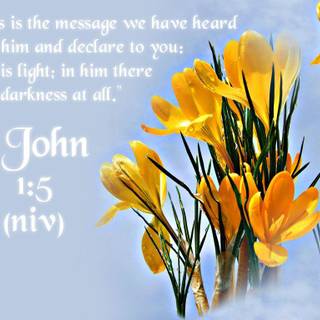 John 1:5 wallpaper
