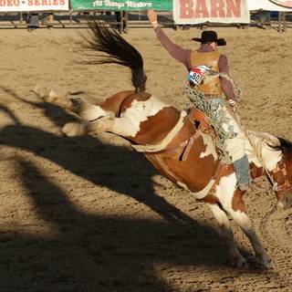 Bronc riding wallpaper