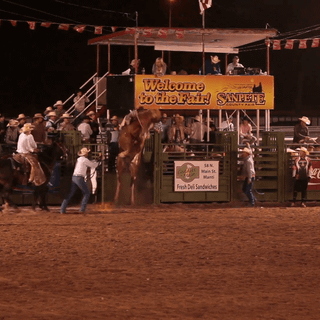 Bronc riding wallpaper