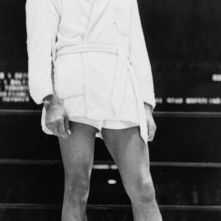 Sugar Ray Robinson wallpaper