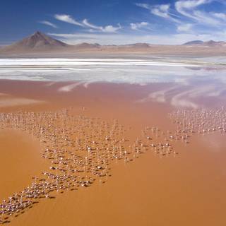 Laguna Colorada wallpaper