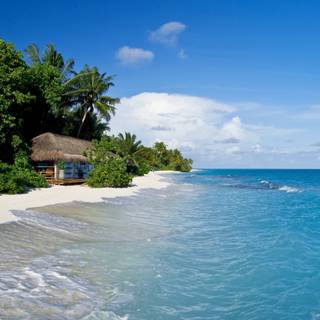 Port-au-Prince wallpaper