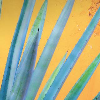 Yucatán Peninsula wallpaper