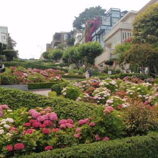 Lombard Street wallpaper