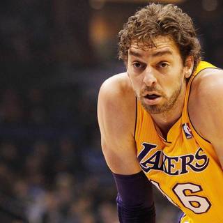 Pau Gasol wallpaper