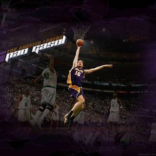 Pau Gasol wallpaper