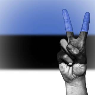 Estonia flag wallpaper