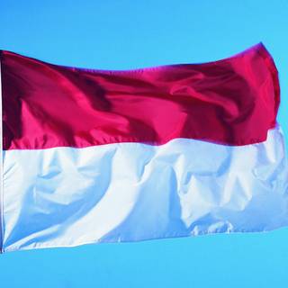 Monaco flag wallpaper