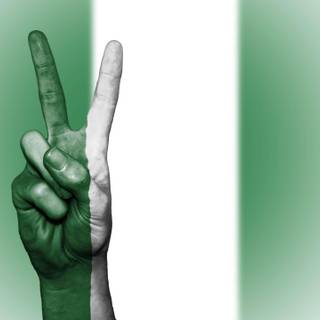 Nigeria flag wallpaper