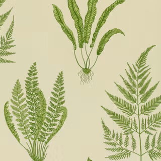 Fern wallpaper