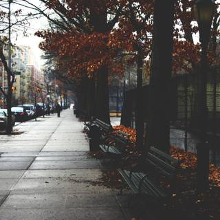 Harlem New York wallpaper