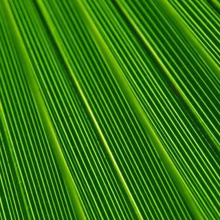 Samsung Galaxy J4 wallpaper