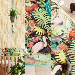 Moriah Elizabeth wallpaper