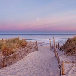 Cape Cod National Seashore wallpaper