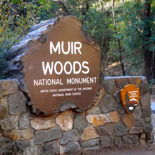 Muir Woods National Monument wallpaper