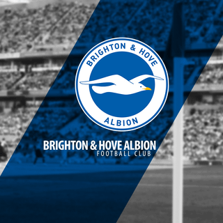 Brighton and Hove Albion wallpaper