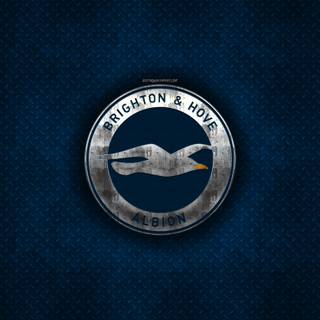 Brighton and Hove Albion wallpaper
