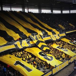 BSC Young Boys wallpaper