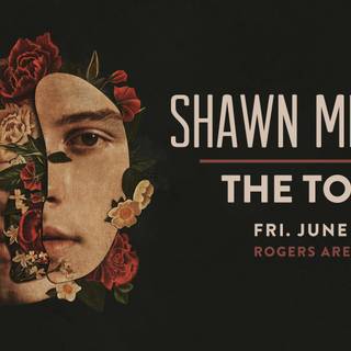 Shawn Mendes 2019 wallpaper