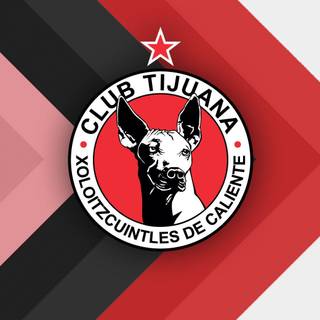 Club Tijuana wallpaper