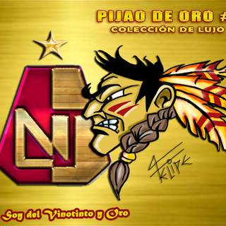 Deportes Tolima wallpaper