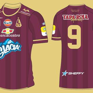 Deportes Tolima wallpaper